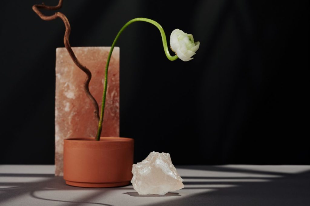 A single white tulip bending gracefully in a small terracotta pot, with a twisted twig and chunk of white crystal beside it, arranged on a shadowed surface against a dark background to enhance the