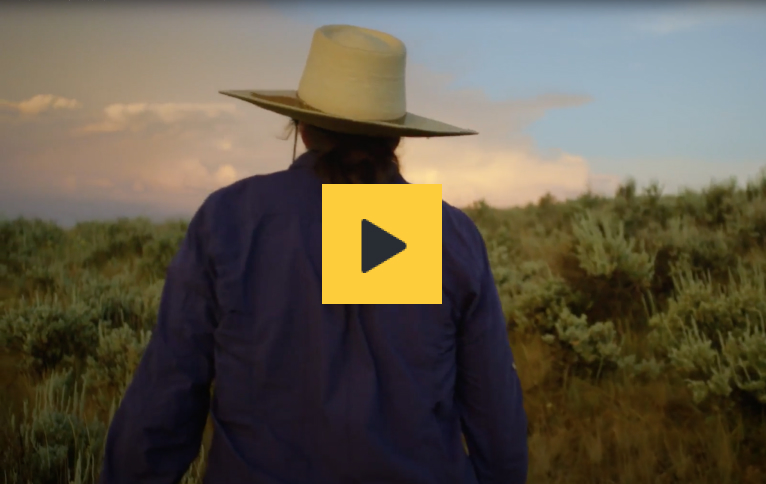 A person in a blue shirt and white hat stands in a grassy field at sunset, gazing into the horizon. there's a play button overlay, indicating it's a video.